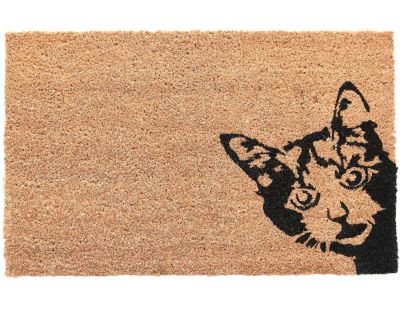 Paillasson en coco et PVC 60 x 40 cm (Chat)