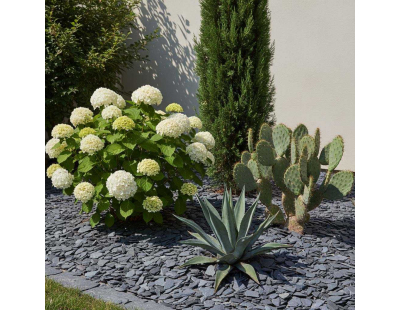 Paillis d'ardoises bleu noir (Unitaire)