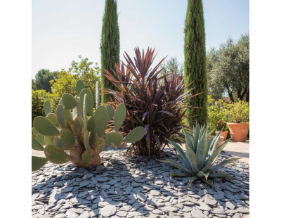 Paillis d'ardoises gris vert argenté 30/60 (Unitaire)