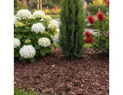 Paillis copeaux marrons 11 kg (10 sacs de 11 kgs)