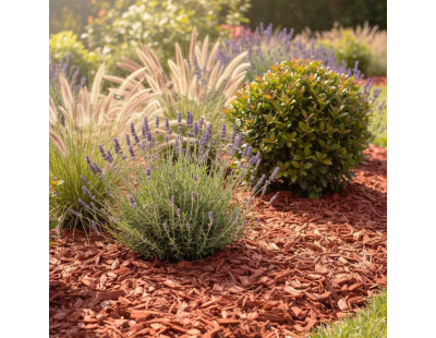 Paillis copeaux rouges 11kg (10 sacs de 11 kgs )