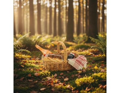 Panier rectangulaire en poelet naturel