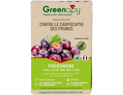 Phéromones Carpocapse des prunes Cydia funebrana (2 capsules)