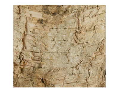 Photophore en bouleau et métal 4 bougies