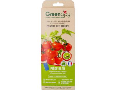 Piège englué spécial thrips (Lot de 10 plaques)
