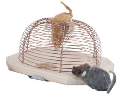 Piège à souris vivantes