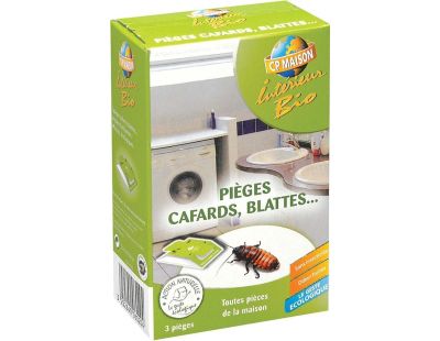 Pièges à cafards et blattes (Lot de 3)