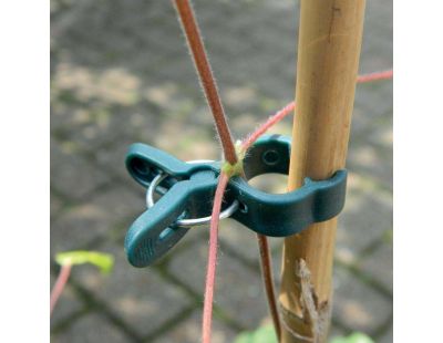 Pinces de fixation en plastique pour plantes (Petit modèle)