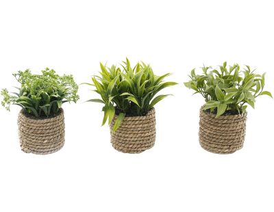 Plante artificielle avec pot tressé (Lot de 3)