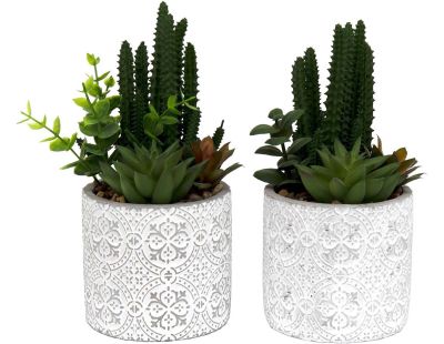 Plante succulente artificielle pot en ciment (Lot de 2)