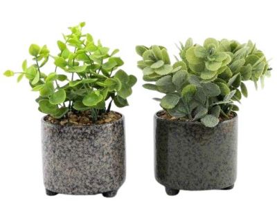 Plante succulente artificielle en pot émaillé (Lot de 2)