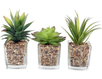 Plantes artificielles dans pot en verre 6.5 x 6.5 x 17 cm (Lot de 3)