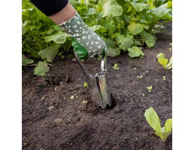 Planteur à bulbes en acier inoxydable et bois de frêne