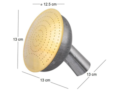 Pomme d'arrosoir en acier galvanisé grille en laiton