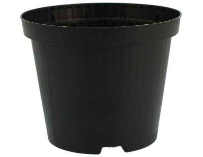 Pot de plantation rond noir 10 cm de diamètre (Lot de 30)