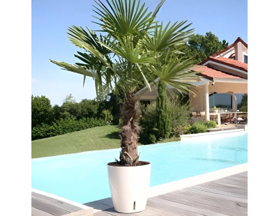 Pot en plastique rond avec réserve d'eau 30 cm Eva (Blanc)