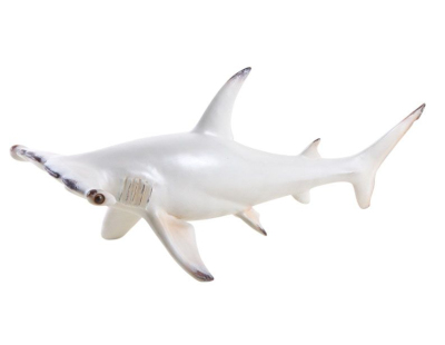 Requin marteau en résine blanc