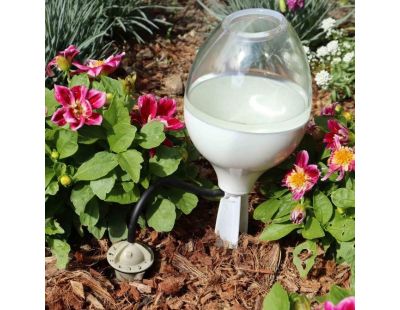 Réserve d'eau goutte à goutte décorative 70 cl (Blanc)