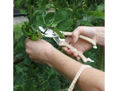 Sécateur en acier inoxydable poignée ergonomique