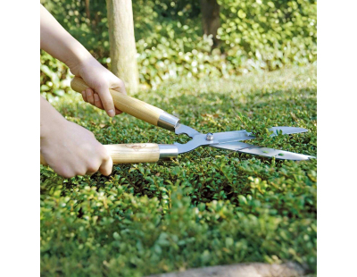 Sécateur de haie en acier inoxydable et bois de frêne