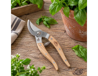 Sécateur pour plantes d'intérieur en acier inoxydable