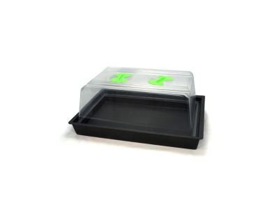 Serre X-Stream Small avec thermostat