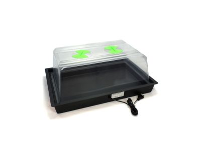 Serre X-Stream Small avec thermostat