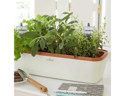 Serre d'intérieur Boqube plus (Crème et cuivre)