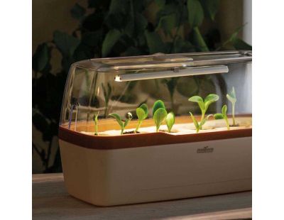 Serre d'intérieur Boqube plus led (Crème et cuivre)