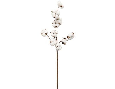 Set de 3 branches de coton 70 cm