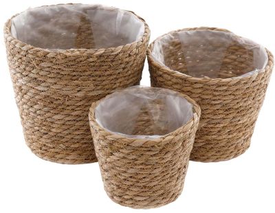 Set de 3 cache-pots en jacinthe