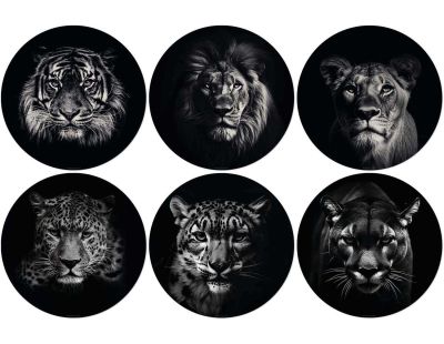 Set de table en vinyle 38 cm King & Queen (Lot de 6 sets de table motifs assortis)