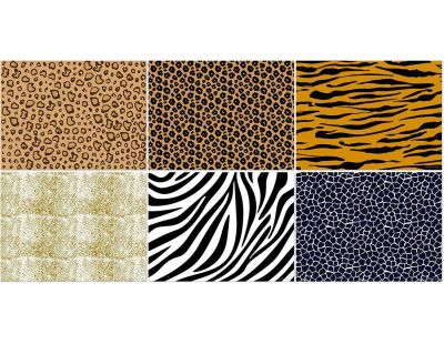 Set de table en vinyle 40 x 30 cm Wild (Lot de 6 sets de table motifs assortis)