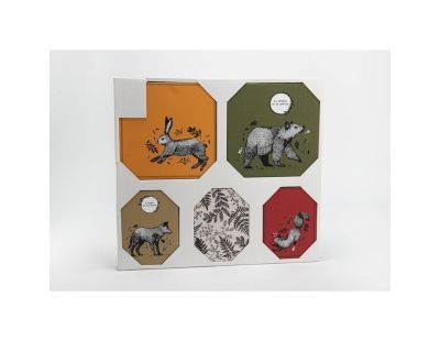 Set de 5 toiles colorées Animaux de la forêt