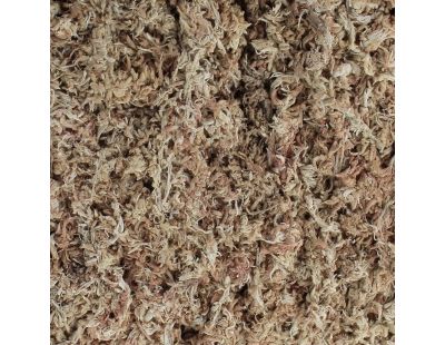 Sphaigne du Chili 150gr