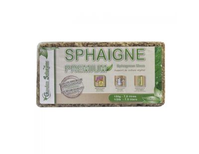 Sphaigne du Chili 150gr