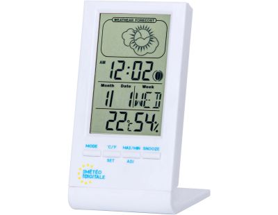 World Of Weather - Thermomètre extérieur métal 90cm - Station météo  thermomètre pluviomètre - Achat & prix