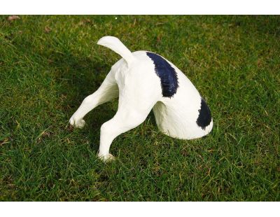 Statuette chien bob le creuseur