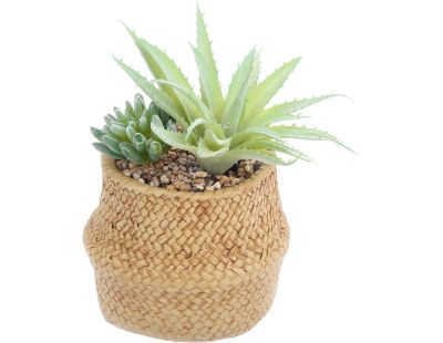 Succulente artificielle dans pot tressé 22 x 14 cm