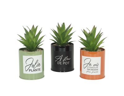 Succulentes artificielles dans pots colorés 17 cm (Lot de 3)