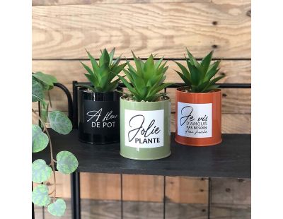 Succulentes artificielles dans pots colorés 17 cm (Lot de 3)