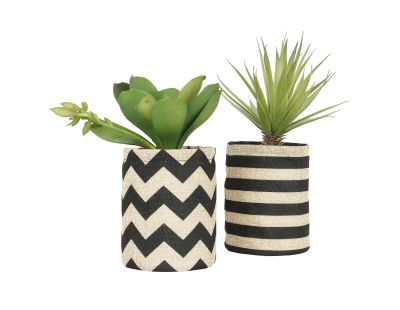 Succulentes dans pot en toile de jute 26 cm (Lot de 2)