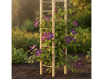 Support en bois de pin pour plantes 4 piquets (Tour)