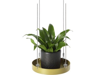 Support à plantes rond à suspendre doré (Diamètre de 14 cm)