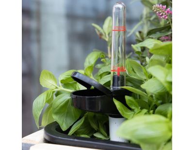 Système d'auto-arrosage pour potager