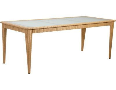 Table de jardin en polyrésine et verre (Naturel)