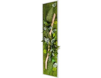 Tableau végétal stabilisé nature Pano (40 x 140 cm)