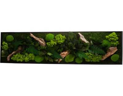 Tableau végétal stabilisé canopé Panoramic (115 x 25 cm)