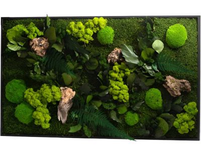 Tableau végétal stabilisé canopé Rectangle (100 x 60 cm)