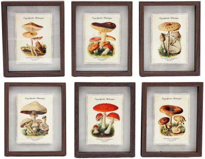 Tableaux décoratifs champignons 30 x 40 cm (Lot de 6)